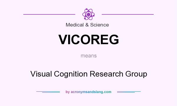 What does VICOREG mean? It stands for Visual Cognition Research Group
