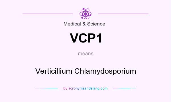 What does VCP1 mean? It stands for Verticillium Chlamydosporium