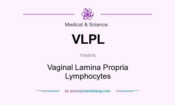 What does VLPL mean? It stands for Vaginal Lamina Propria Lymphocytes