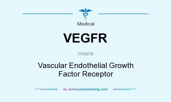 What does VEGFR mean? It stands for Vascular Endothelial Growth Factor Receptor