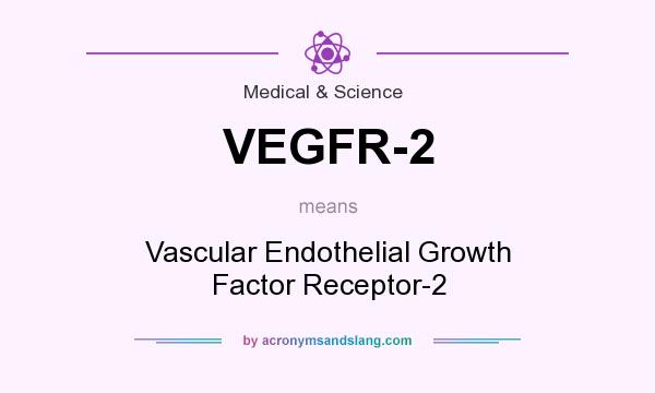 What does VEGFR-2 mean? It stands for Vascular Endothelial Growth Factor Receptor-2