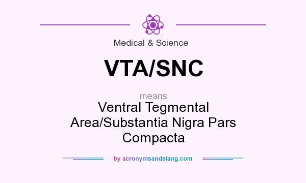 What does VTA/SNC mean? It stands for Ventral Tegmental Area/Substantia Nigra Pars Compacta