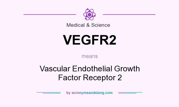 What does VEGFR2 mean? It stands for Vascular Endothelial Growth Factor Receptor 2