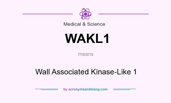 What does WAKL1 mean? It stands for Wall Associated Kinase-Like 1
