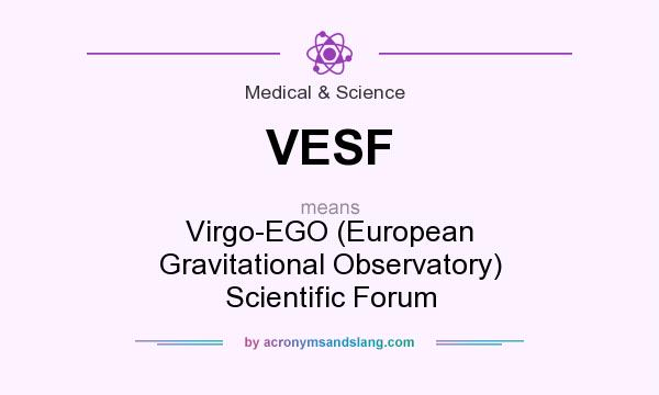 What does VESF mean? It stands for Virgo-EGO (European Gravitational Observatory) Scientific Forum