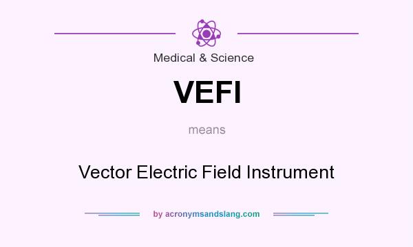 What does VEFI mean? It stands for Vector Electric Field Instrument
