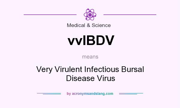 What does vvIBDV mean? It stands for Very Virulent Infectious Bursal Disease Virus