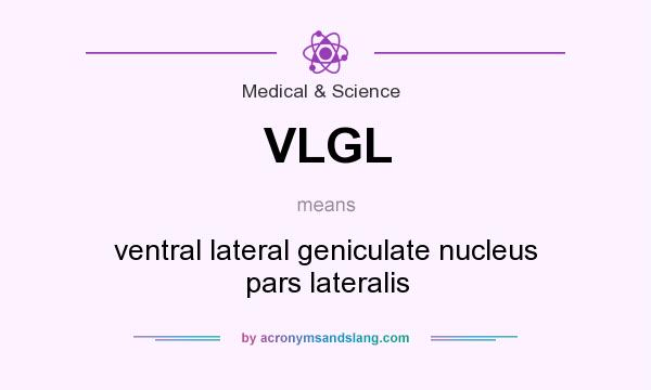 What does VLGL mean? It stands for ventral lateral geniculate nucleus pars lateralis