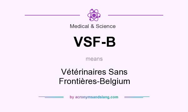 What does VSF-B mean? It stands for Vétérinaires Sans Frontières-Belgium