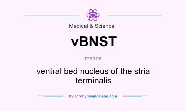 What does vBNST mean? It stands for ventral bed nucleus of the stria terminalis