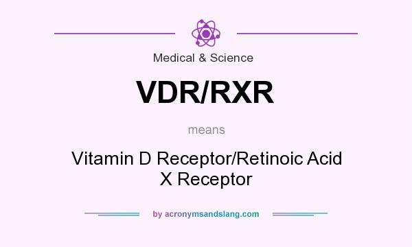 What does VDR/RXR mean? It stands for Vitamin D Receptor/Retinoic Acid X Receptor