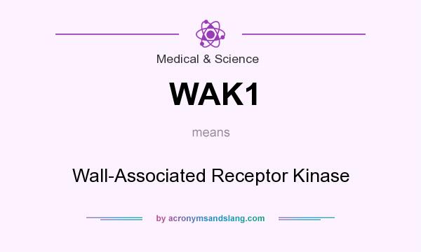 What does WAK1 mean? It stands for Wall-Associated Receptor Kinase