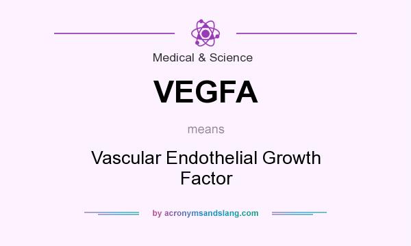 What does VEGFA mean? It stands for Vascular Endothelial Growth Factor