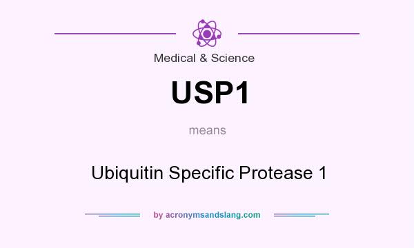 What does USP1 mean? It stands for Ubiquitin Specific Protease 1