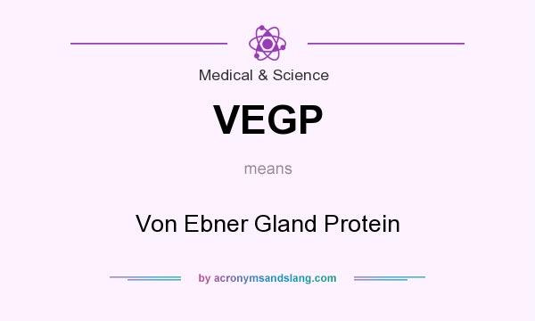 What does VEGP mean? It stands for Von Ebner Gland Protein