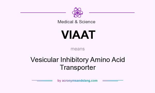 What does VIAAT mean? It stands for Vesicular Inhibitory Amino Acid Transporter