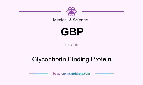 What does GBP mean? It stands for Glycophorin Binding Protein