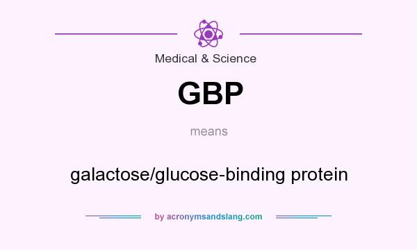 What does GBP mean? It stands for galactose/glucose-binding protein