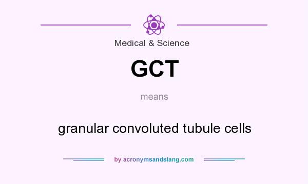What does GCT mean? It stands for granular convoluted tubule cells