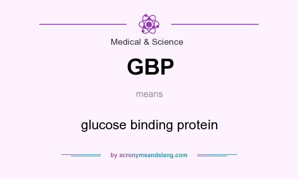 What does GBP mean? It stands for glucose binding protein