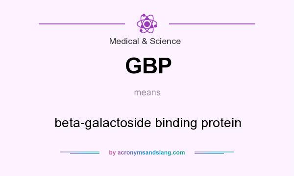What does GBP mean? It stands for beta-galactoside binding protein