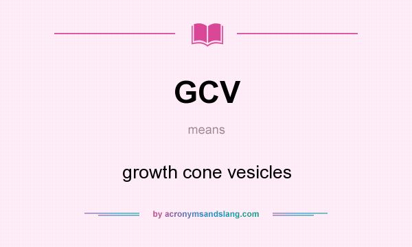 What does GCV mean? It stands for growth cone vesicles