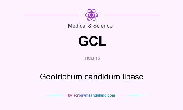 What does GCL mean? It stands for Geotrichum candidum lipase