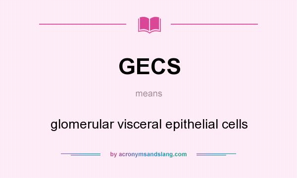 What does GECS mean? It stands for glomerular visceral epithelial cells