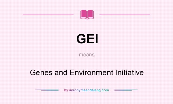 What does GEI mean? It stands for Genes and Environment Initiative