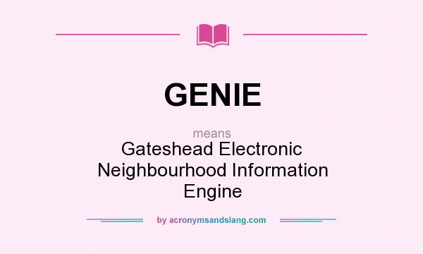 What does GENIE mean? It stands for Gateshead Electronic Neighbourhood Information Engine