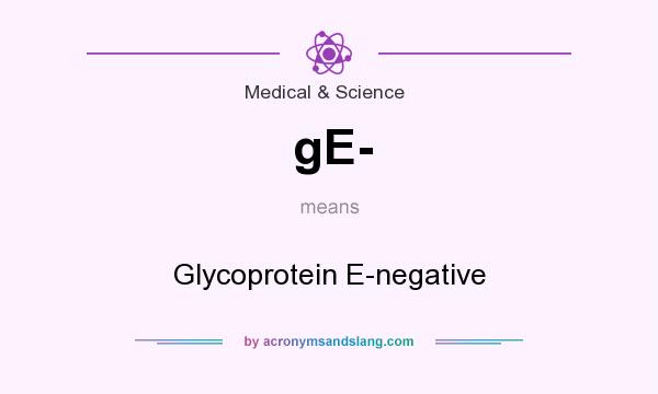 What does gE- mean? It stands for Glycoprotein E-negative