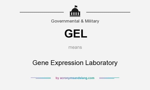 What does GEL mean? It stands for Gene Expression Laboratory