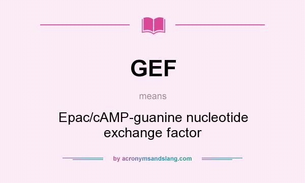 What does GEF mean? It stands for Epac/cAMP-guanine nucleotide exchange factor