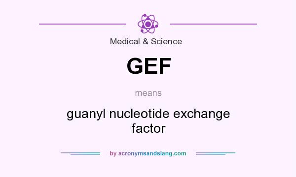 What does GEF mean? It stands for guanyl nucleotide exchange factor