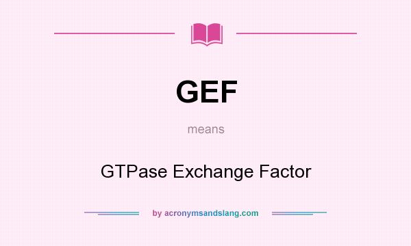 What does GEF mean? It stands for GTPase Exchange Factor