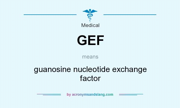 What does GEF mean? It stands for guanosine nucleotide exchange factor