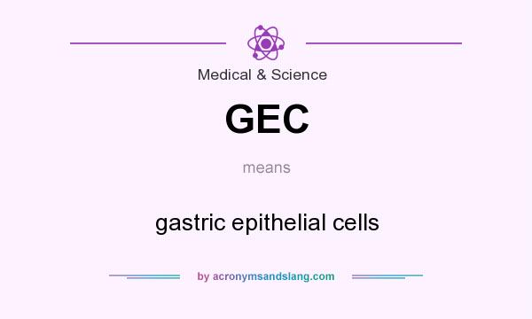 What does GEC mean? It stands for gastric epithelial cells