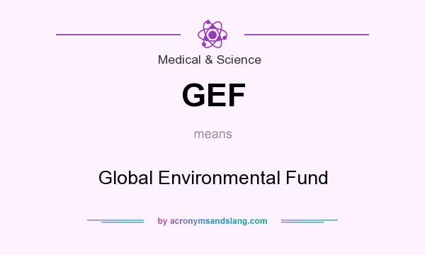What does GEF mean? It stands for Global Environmental Fund