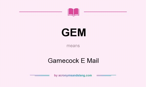 What does GEM mean? It stands for Gamecock E Mail