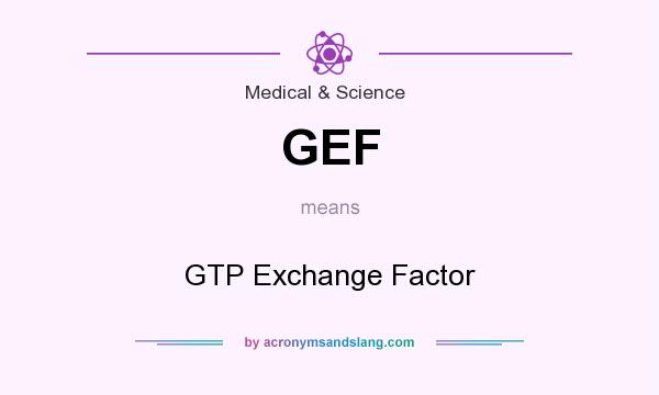 What does GEF mean? It stands for GTP Exchange Factor
