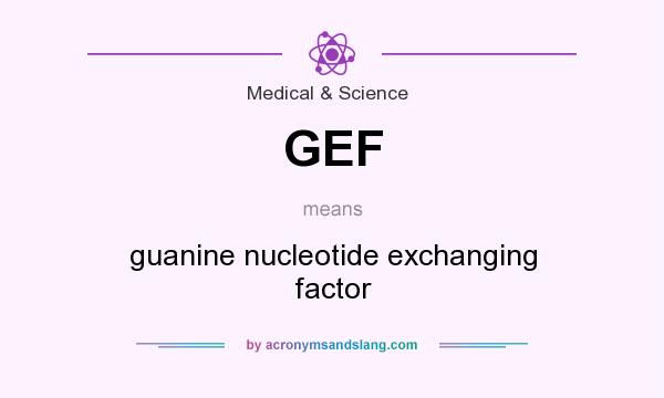 What does GEF mean? It stands for guanine nucleotide exchanging factor