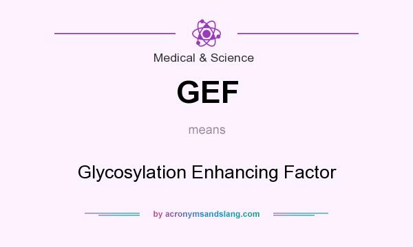 What does GEF mean? It stands for Glycosylation Enhancing Factor
