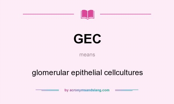 What does GEC mean? It stands for glomerular epithelial cellcultures