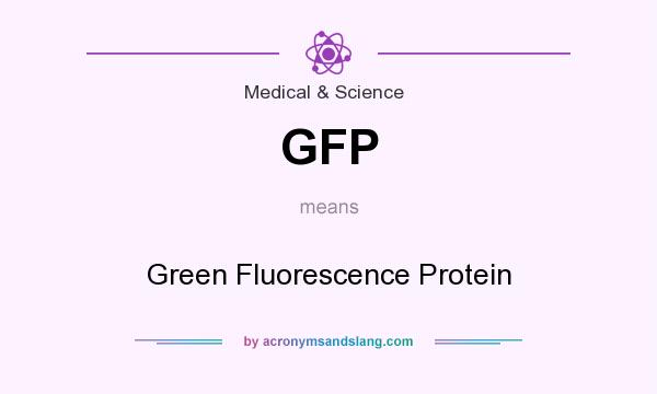 What does GFP mean? It stands for Green Fluorescence Protein