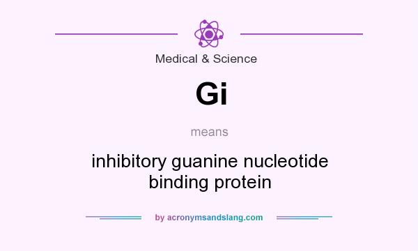 What does Gi mean? It stands for inhibitory guanine nucleotide binding protein