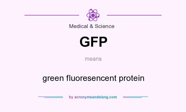 What does GFP mean? It stands for green fluoresencent protein