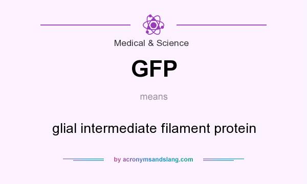 What does GFP mean? It stands for glial intermediate filament protein