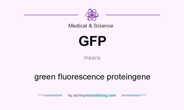 What does GFP mean? It stands for green fluorescence proteingene