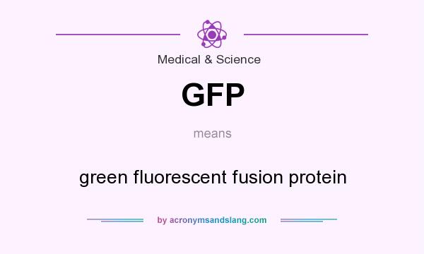 What does GFP mean? It stands for green fluorescent fusion protein