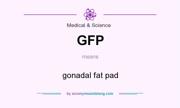 What does GFP mean? It stands for gonadal fat pad